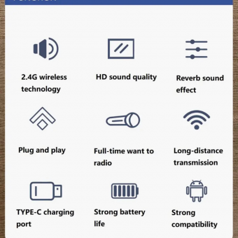 Dijital Ekranlı Kablosuz Yaka Mikrofonu Type-C 2'li Mini Mikrofon Youtube Tik Tok 2 Adet Yeni Nesil